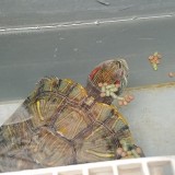 IMG_20200321_114029