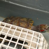 IMG_20200321_114112