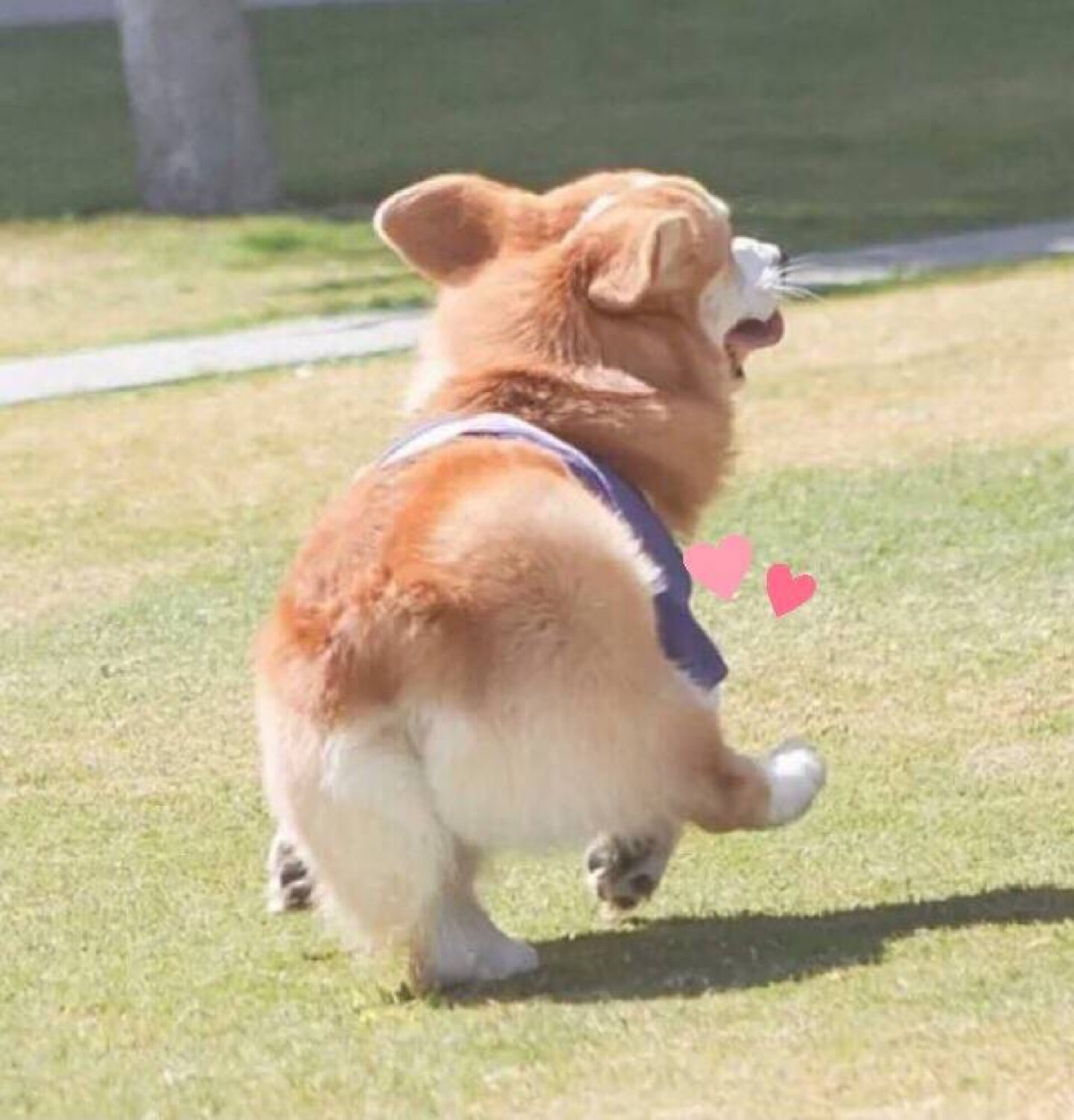 甜甜咸咸 甜甜咸咸