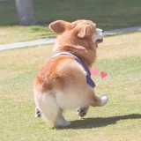 20170228190905_uCme5