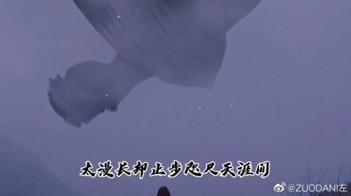 b8f33ab9gy1gld5ds2zwfj20u00grt9i.jpg
