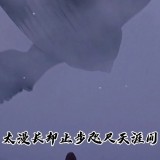 b8f33ab9gy1gld5ds2zwfj20u00grt9i