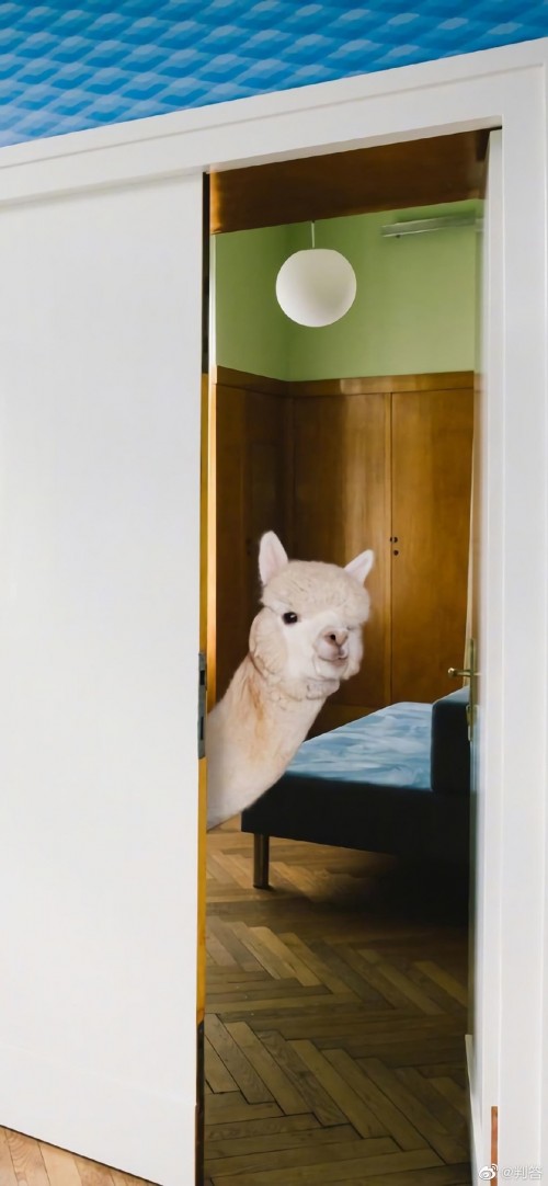 565e8829ly1goro3ytvavj20u01sxn2q.jpg