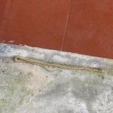 IMG_20211002_094340