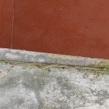 IMG_20211002_094343
