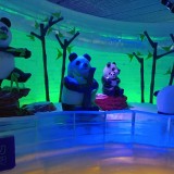 IMG_20211003_101205
