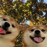 005NW5ATly1h47wznwcydj30tz0pb1kx
