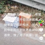 mmexport1667056262756